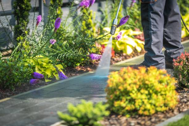 Best Spring Cleaning  in Upper Greenwood Lake, NJ